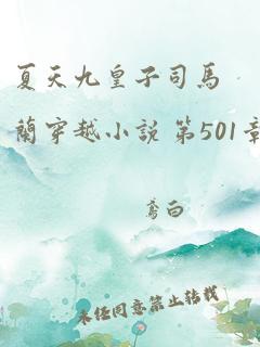 夏天九皇子司马兰穿越小说 第501章