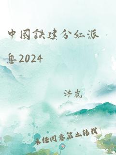 中国铁建分红派息2024