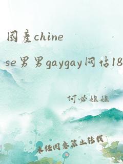 国产chinese男男gaygay网站180