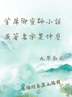 首席御灵师小说原著名字是什么