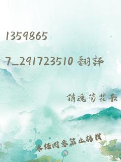 13598657_291723510 翻译