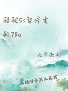 骆驼5s启停电瓶70a