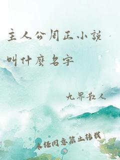 主人公周正小说叫什么名字