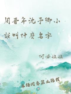 周晋年沈予卿小说叫什么名字