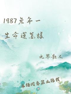 1987兔年一生命运怎样