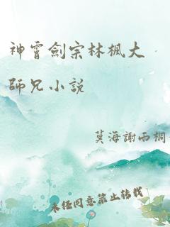 神霄剑宗林枫大师兄小说