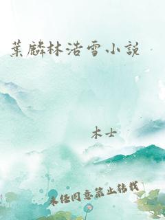 叶麟林浩雪小说