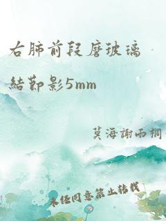 右肺前段磨玻璃结节影5mm