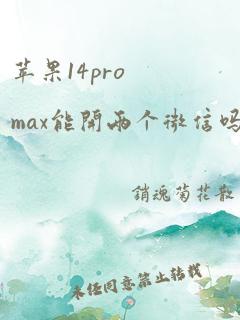 苹果14promax能开两个微信吗