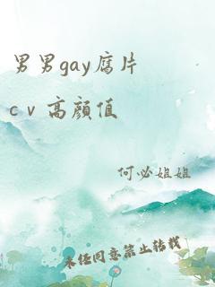 男男gay腐片cⅴ高颜值