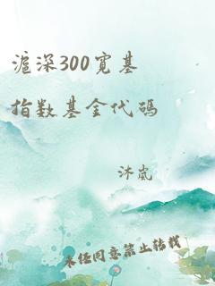 沪深300宽基指数基金代码