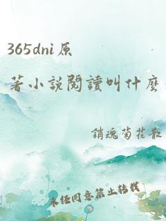 365dni原著小说阅读叫什么名