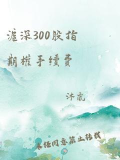 沪深300股指期权手续费