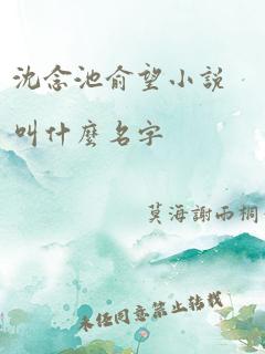 沈念池俞望小说叫什么名字