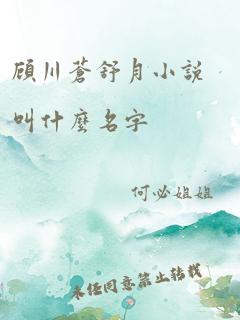 顾川苍舒月小说叫什么名字