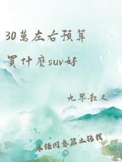 30万左右预算买什么suv好