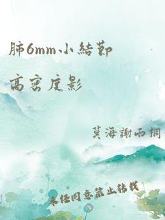 肺6mm小结节高密度影