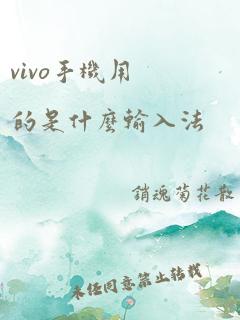 vivo手机用的是什么输入法