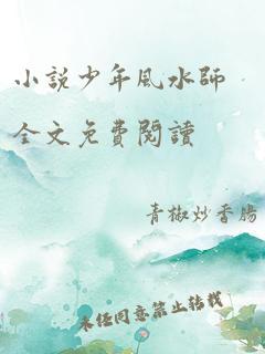 小说少年风水师全文免费阅读