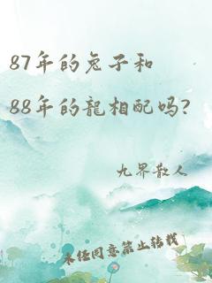 87年的兔子和88年的龙相配吗?