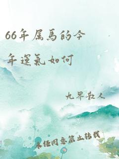 66年属马的今年运气如何