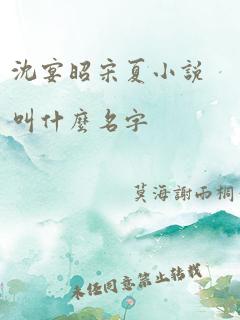 沈宴昭宋夏小说叫什么名字