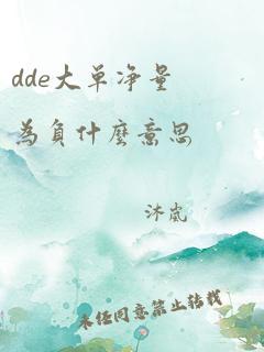 dde大单净量为负什么意思