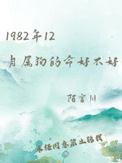 1982年12月属狗的命好不好