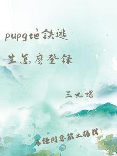 pupg地铁逃生怎么登录