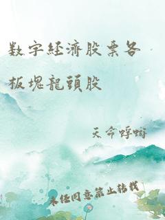 数字经济股票各板块龙头股