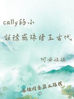 cally的小说徐燕珠靖王古代