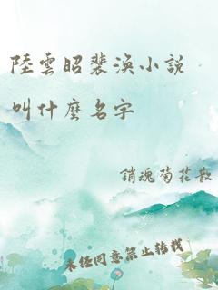 陆云昭裴涣小说叫什么名字