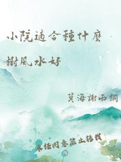 小院适合种什么树风水好