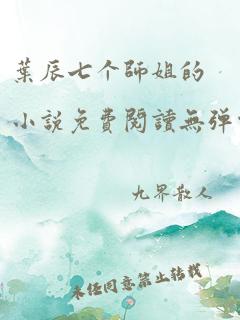 叶辰七个师姐的小说免费阅读无弹窗