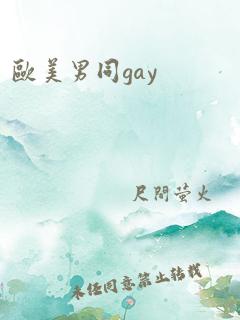 欧美男同gay