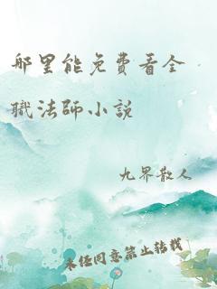 哪里能免费看全职法师小说