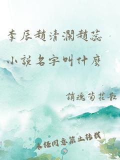 李辰赵清澜赵蕊小说名字叫什么