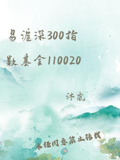 易沪深300指数基金110020