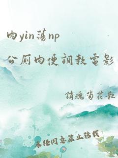 肉yin荡np公厕肉便调教电影