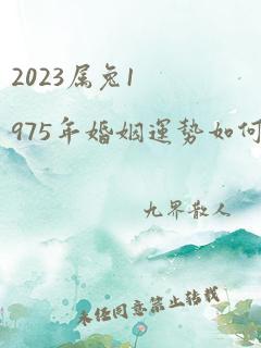 2023属兔1975年婚姻运势如何