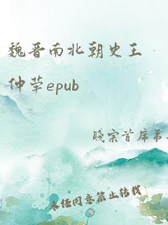 魏晋南北朝史王仲荦epub