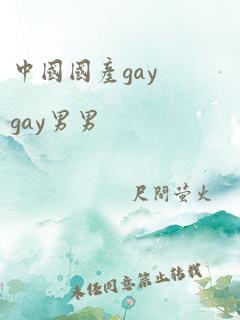 中国国产gaygay男男