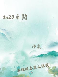 dn20角阀