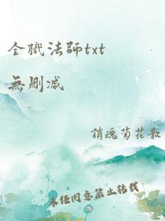 全职法师txt无删减