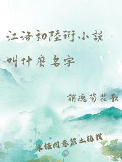 江洛初陆珩小说叫什么名字