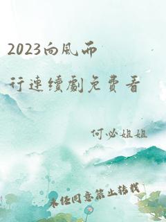 2023向风而行连续剧免费看