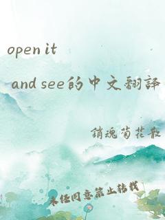 open it and see的中文翻译