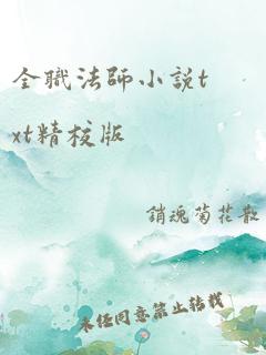 全职法师小说txt精校版