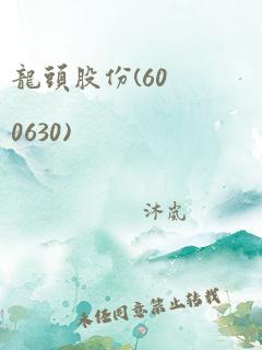 龙头股份(600630)