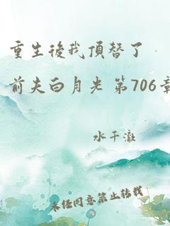 重生后我顶替了前夫白月光 第706章